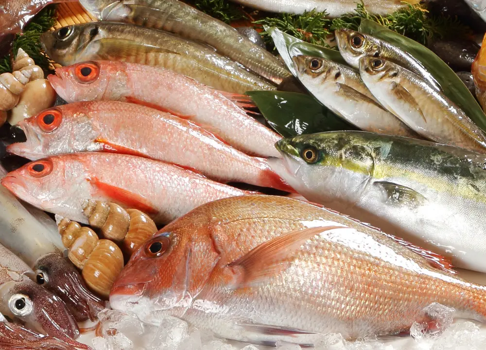 島根県産の魚介類